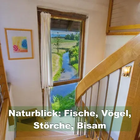 Schwarzwald Bei Strassburg Europapark Fuer 12 Personen Auf 160qm בית נופש ריינאו