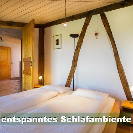 Schwarzwald Bei Strassburg Europapark Fuer 12 Personen Auf 160qm בית נופש