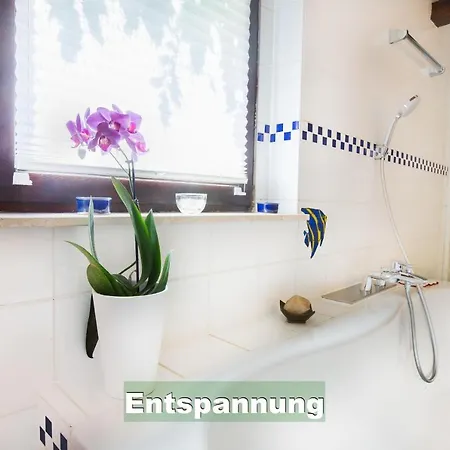 בית נופש Schwarzwald Bei Strassburg Europapark Fuer 12 Personen Auf 160qm ריינאו