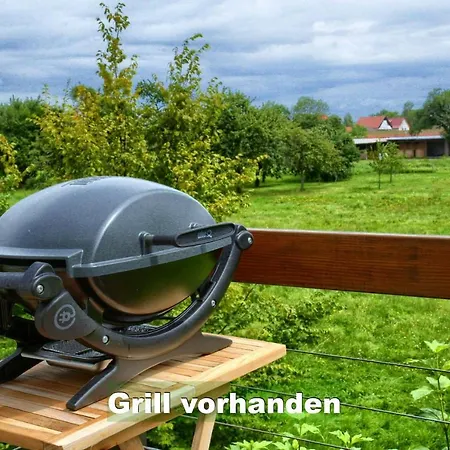 Schwarzwald Bei Strassburg Europapark Fuer 12 Personen Auf 160qm ריינאו