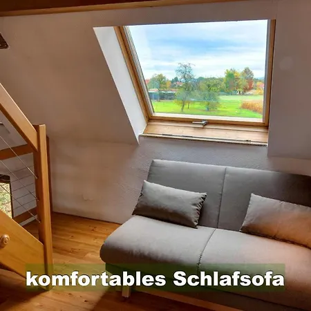 Schwarzwald Bei Strassburg Europapark Fuer 12 Personen Auf 160qm *