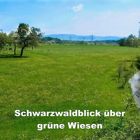 Schwarzwald Bei Strassburg Europapark Fuer 12 Personen Auf 160qm בית נופש