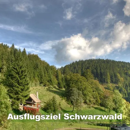 Feriehus Schwarzwald Bei Strassburg Europapark Fuer 12 Personen Auf 160qm *