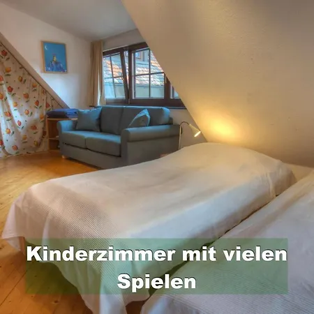 Schwarzwald Bei Strassburg Europapark Fuer 12 Personen Auf 160qm ריינאו